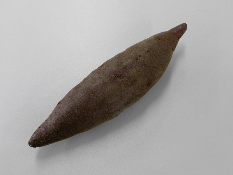 100605_五郎島金時・加賀-石川-03 五郎島金時