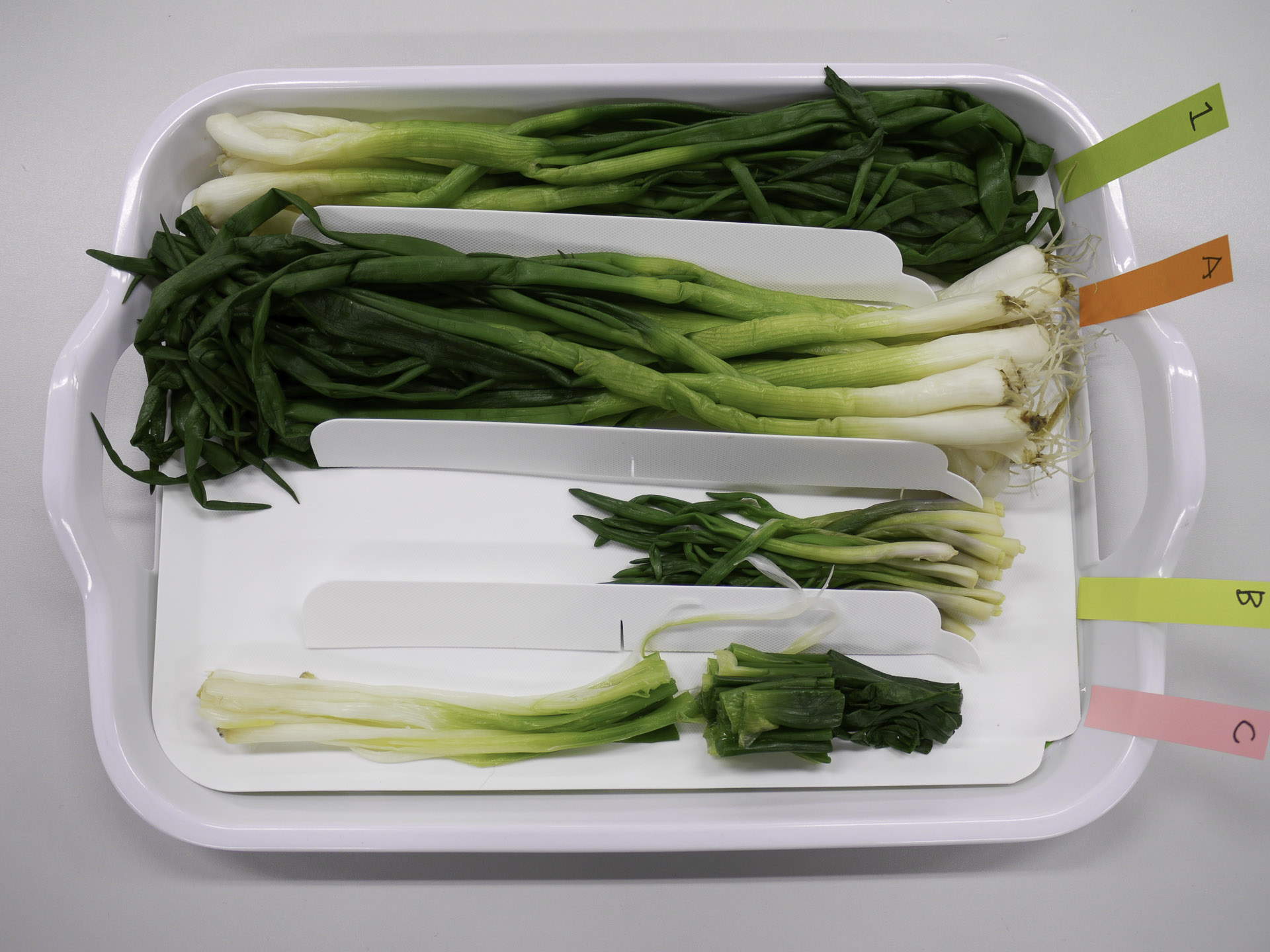 食べ比べ・・・熊本