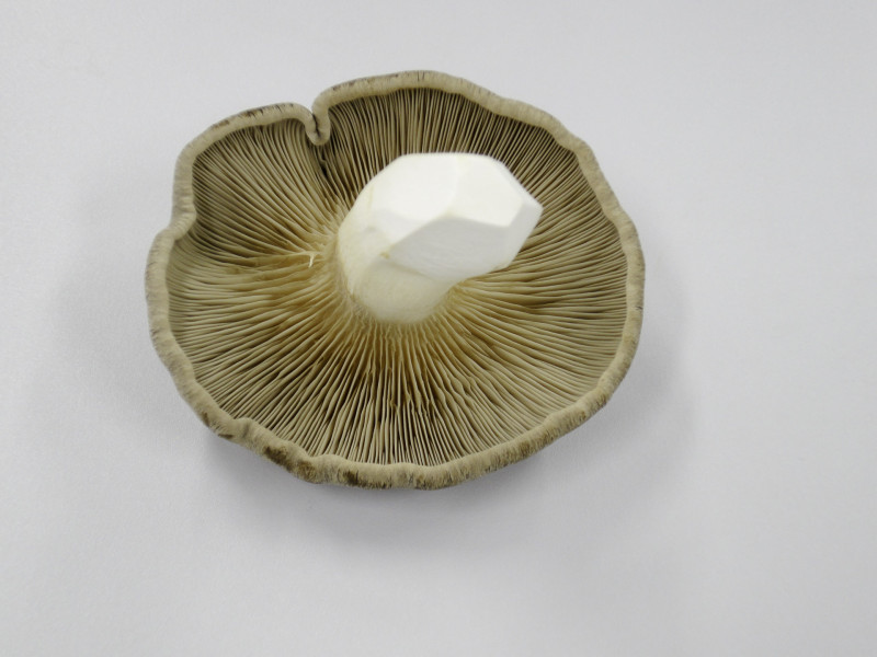 110702_あぎだけ・長野-09158 あぎだけ