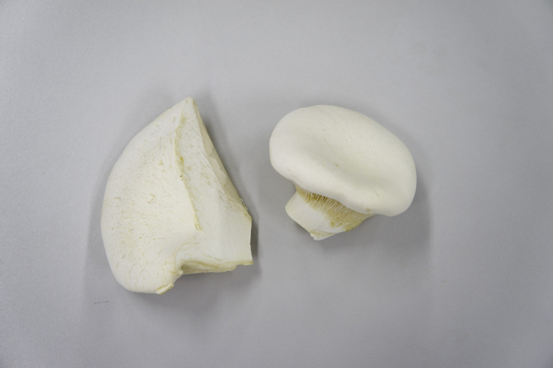 110702_バイリング・長野-04063 バイリング