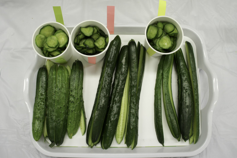 110702_きゅうり食べくらべ・長野-04251 きゅうり食べくらべ