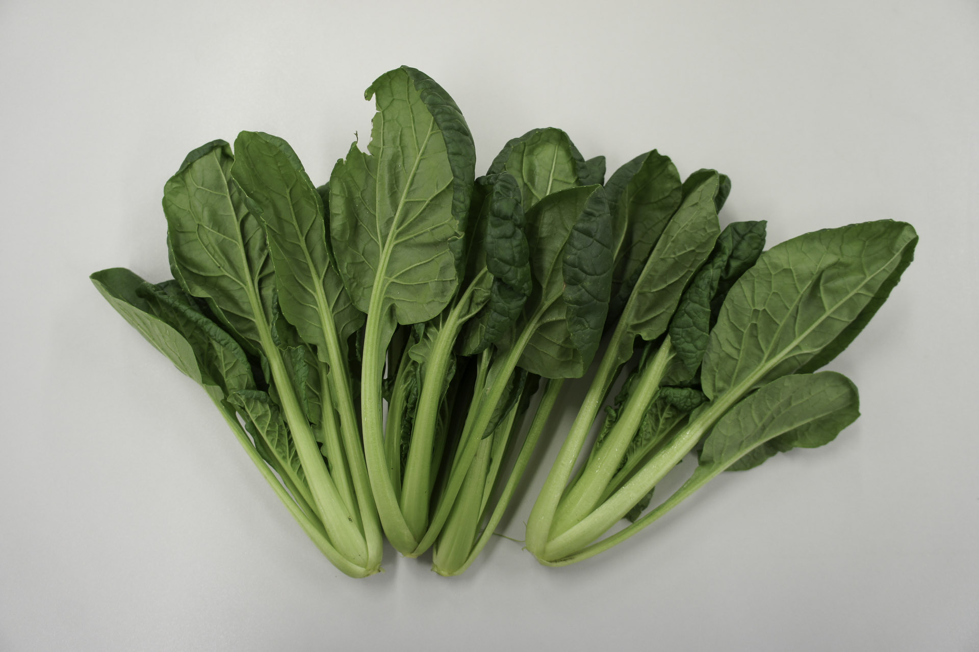 仙台雪菜・宮城 仙台雪菜・宮城