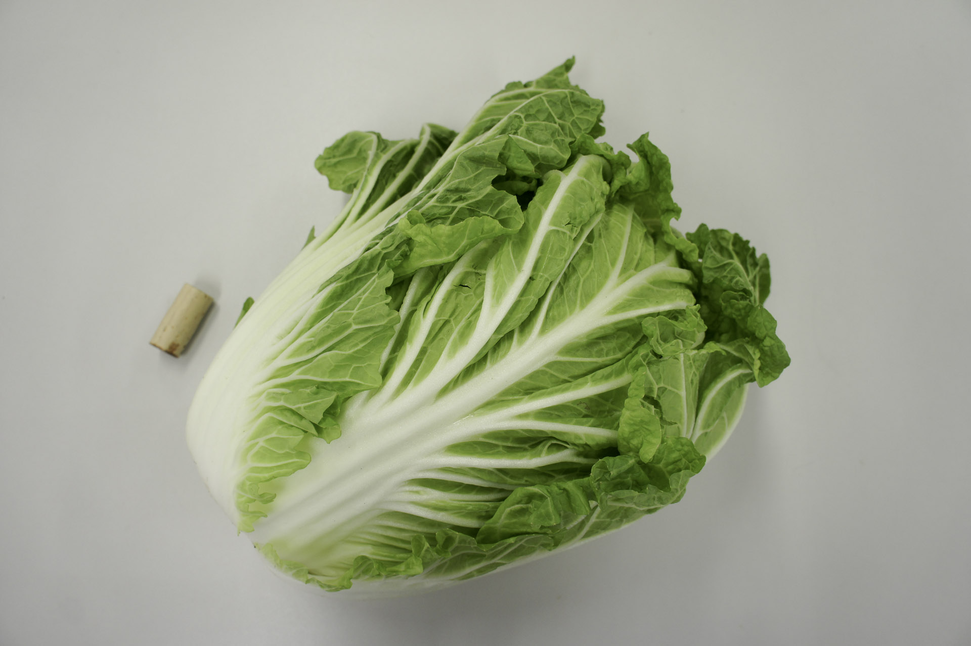 松嶋純2号白菜・宮城 松嶋純2号白菜・宮城