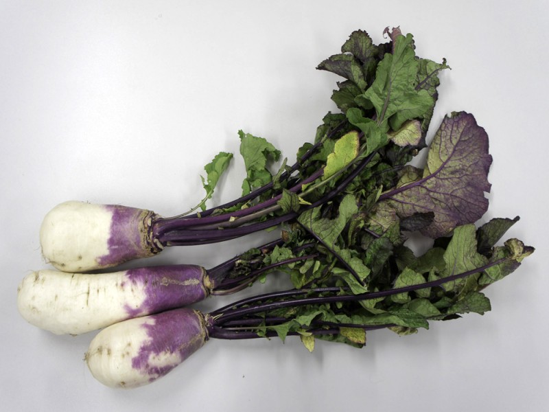 北之庄菜（滋賀）