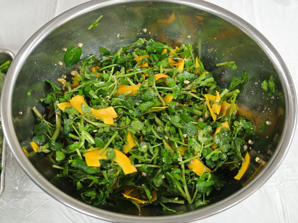 伝統野菜プロジェクト