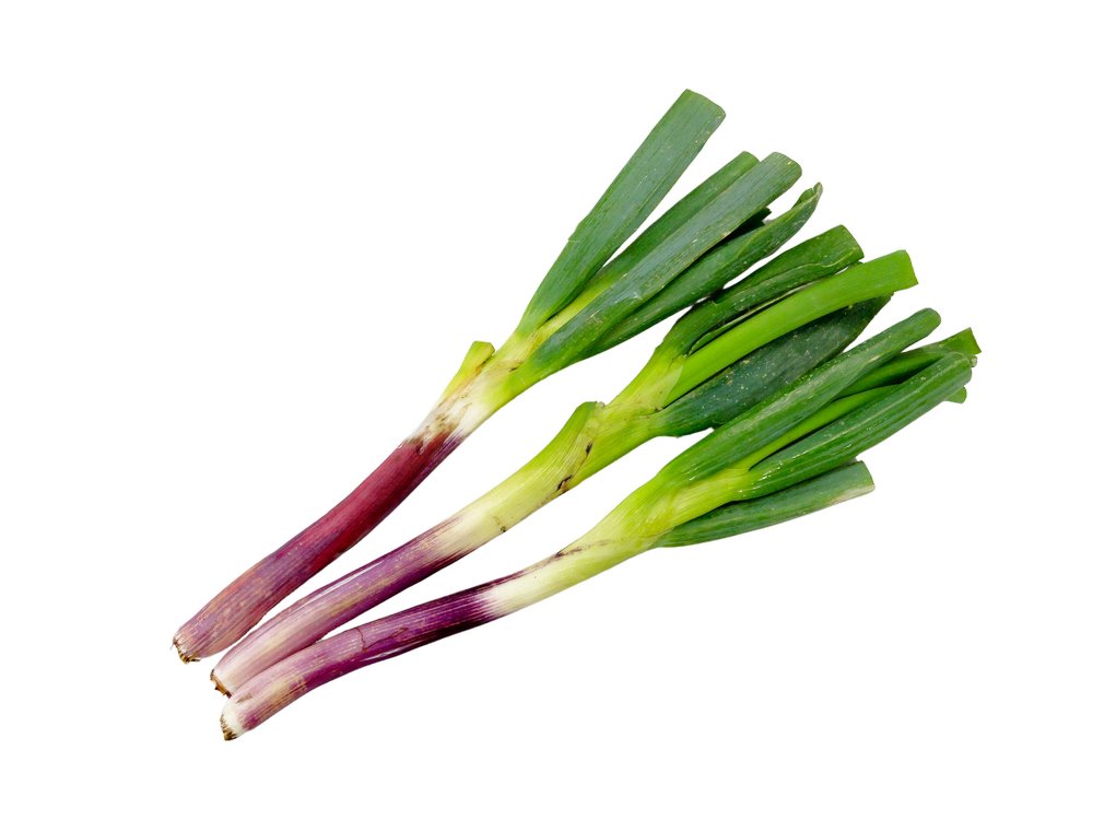 伝統野菜プロジェクト