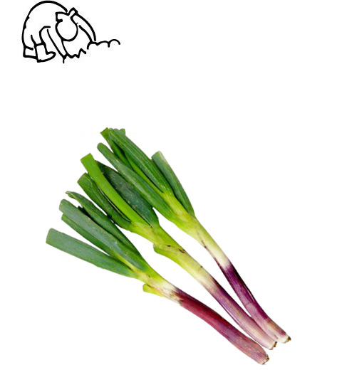 伝統野菜プロジェクト