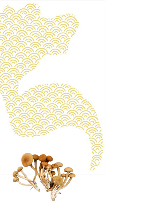 伝統野菜プロジェクト