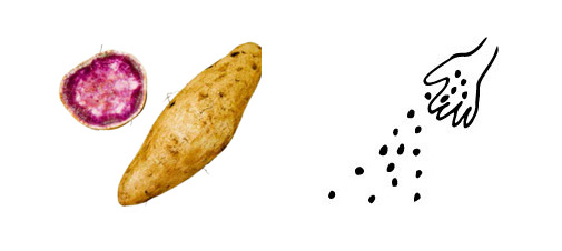 伝統野菜プロジェクト