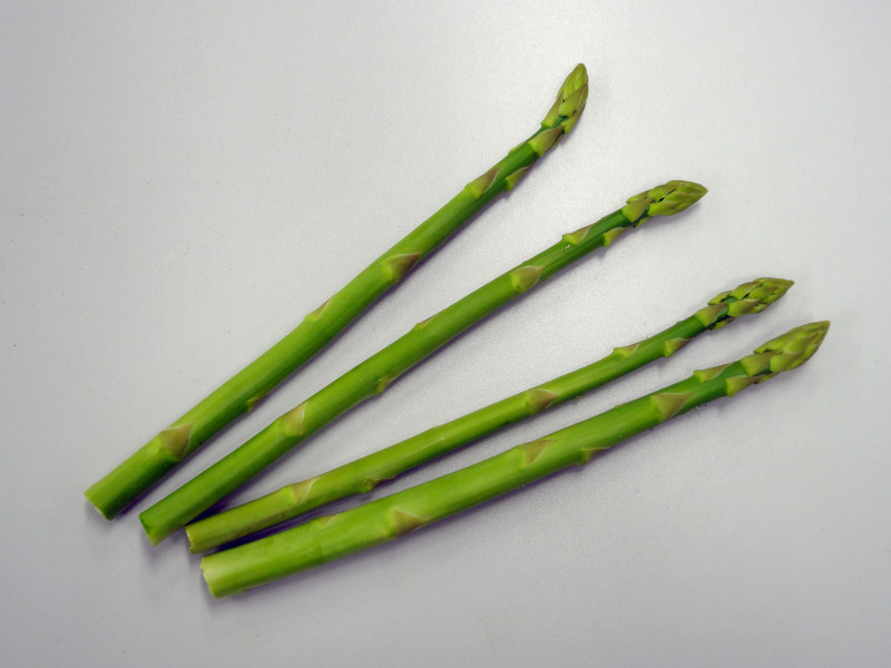 110205_促成アスパラ・青森02 促成アスパラ
