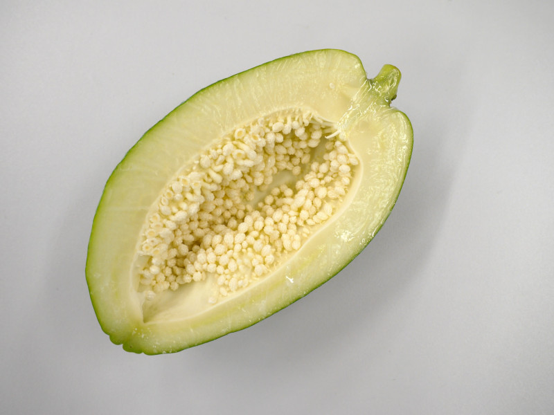野菜パパイヤ