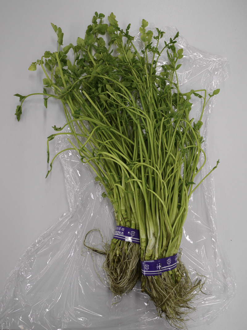 110205_一町田せり・青森-03 一町田せり