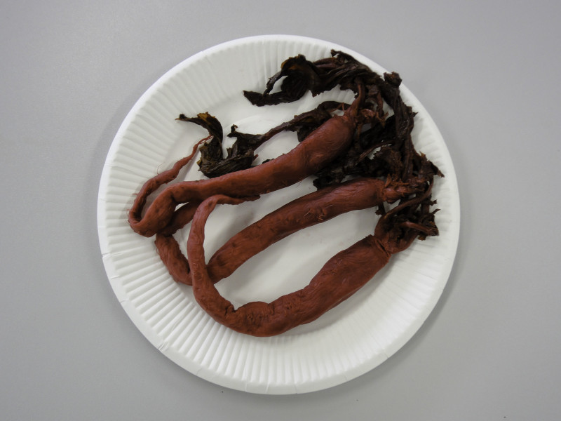 片平あかね漬けもの