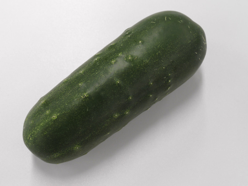 加賀太きゅうり