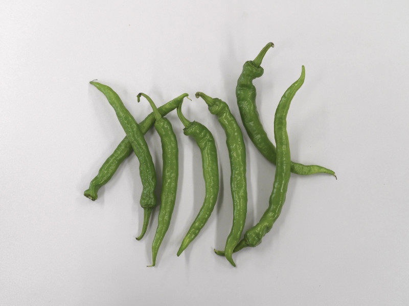 伏見とうがらし