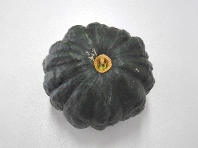 110402_黒皮かぼちゃ・不明-05 黒皮かぼちゃ