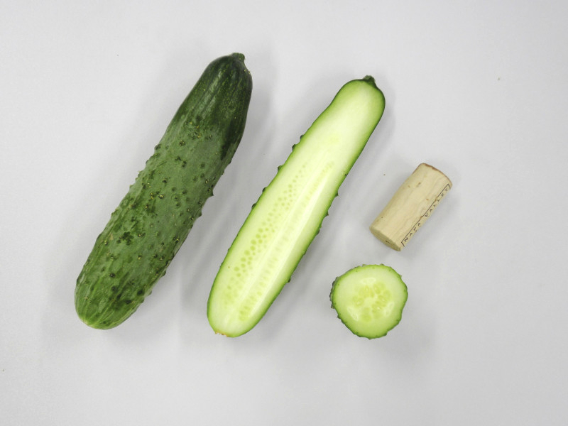 110702_八町きゅうり・長野-09170 八町きゅうり